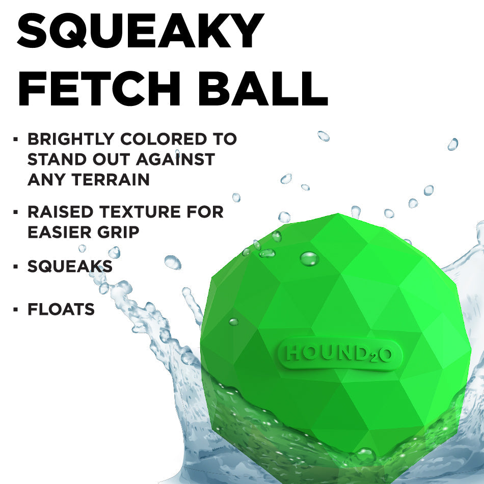 
                  
                    Squeaky Fetch Ball
                  
                