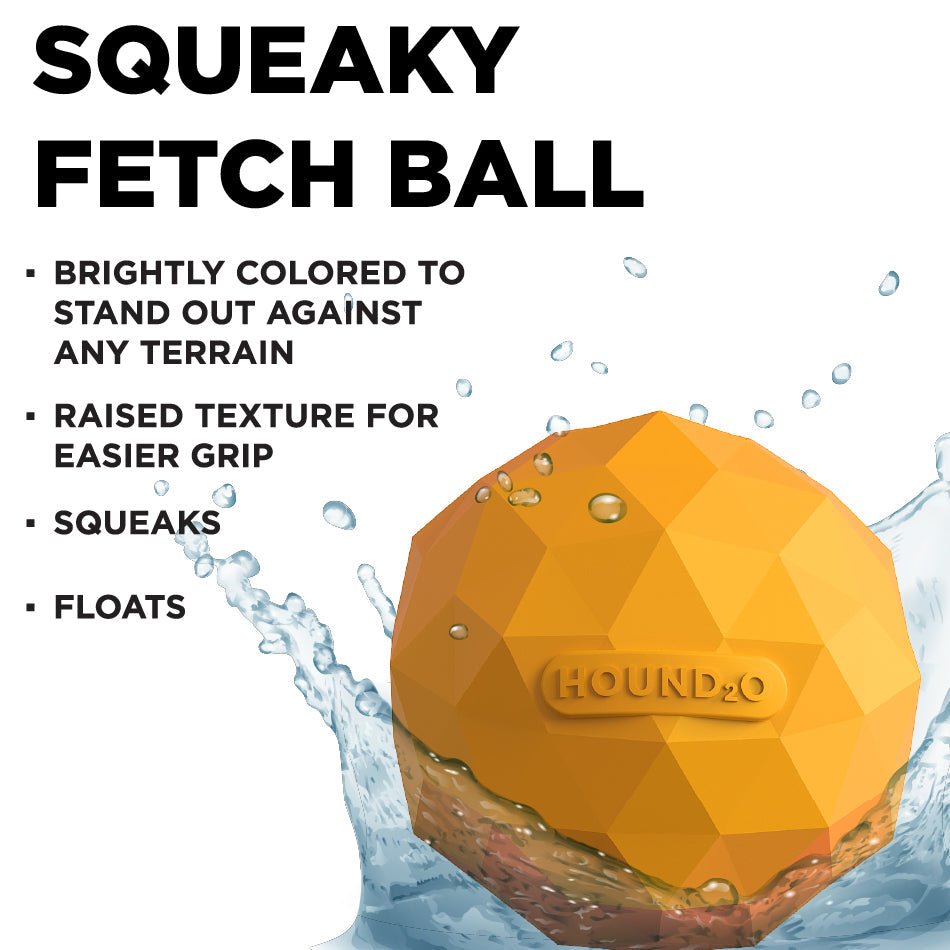 
                  
                    Squeaky Fetch Ball
                  
                