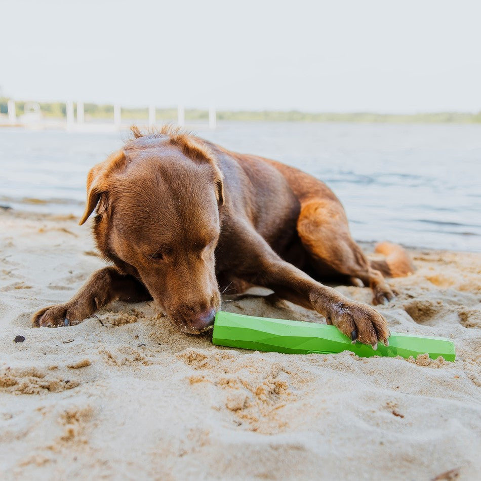 
                  
                    Fetch Stick
                  
                