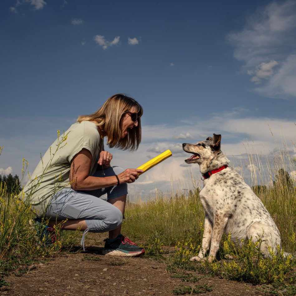 
                  
                    Fetch Stick
                  
                