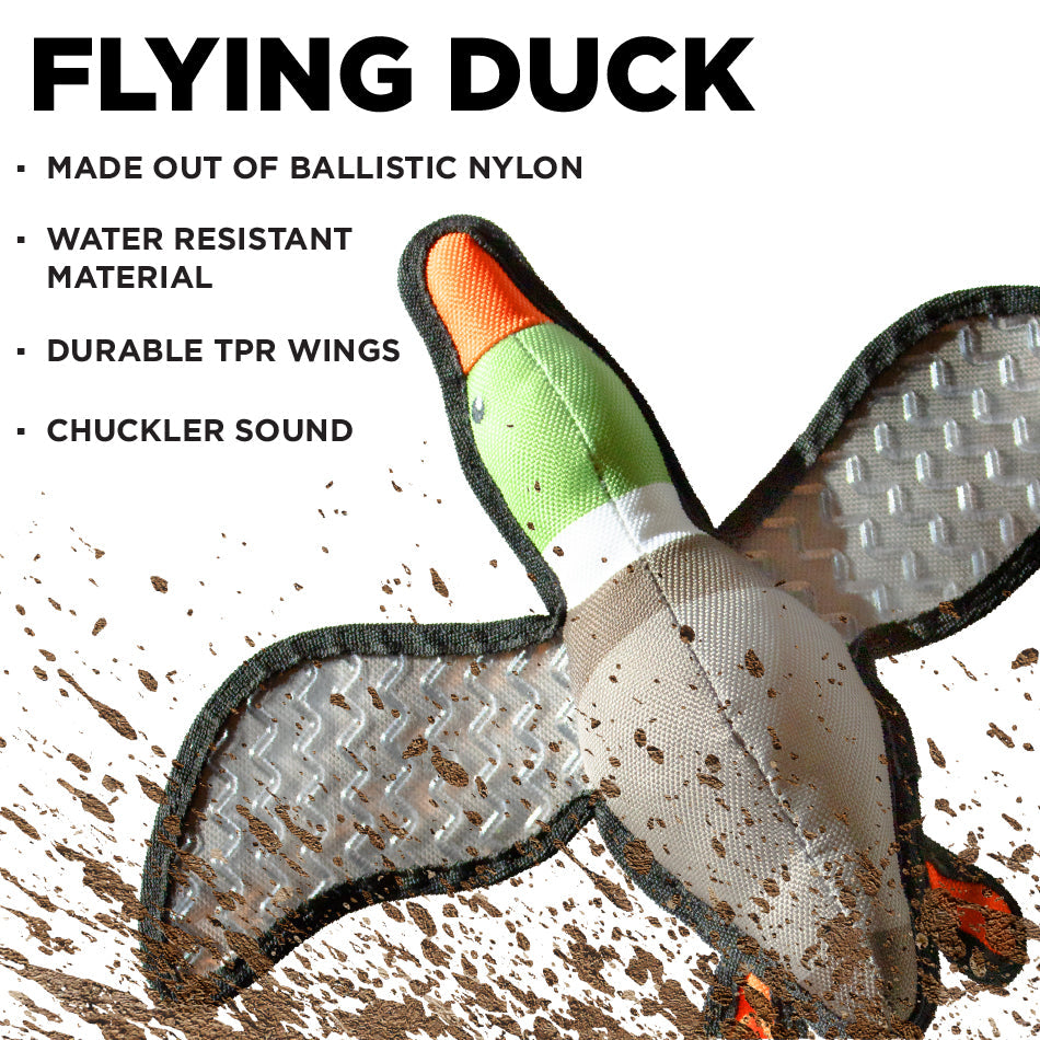 
                  
                    Flying Duck
                  
                