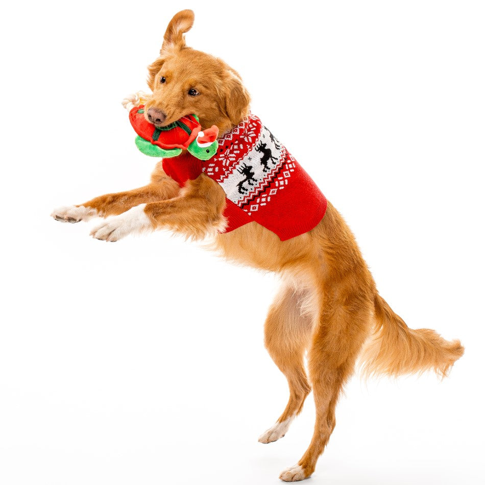 
                  
                    *Limited Edition* Timmy the Turtle
                  
                