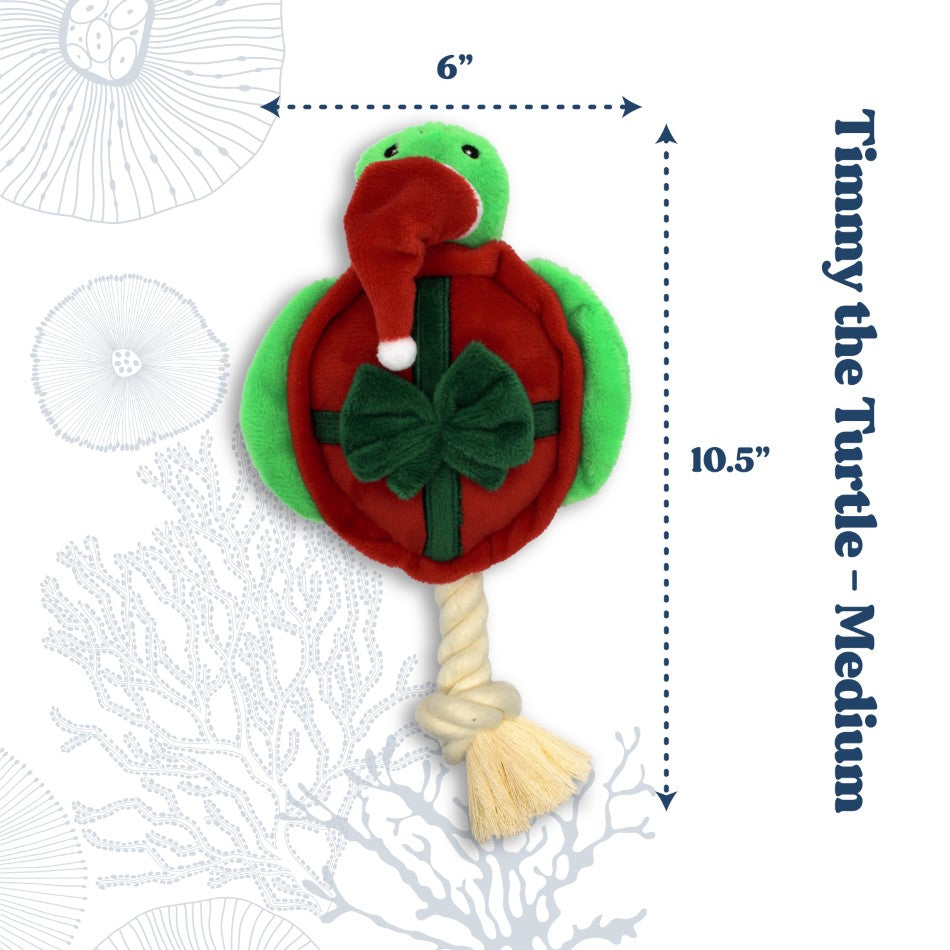 
                  
                    *Limited Edition* Timmy the Turtle
                  
                