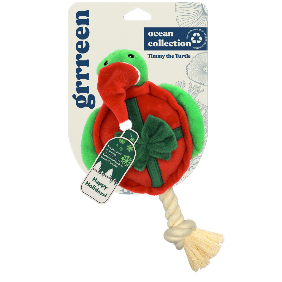 *Limited Edition* Timmy the Turtle