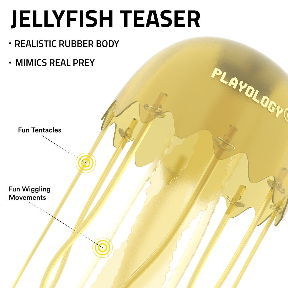 
                  
                    Jellyfish Teaser
                  
                