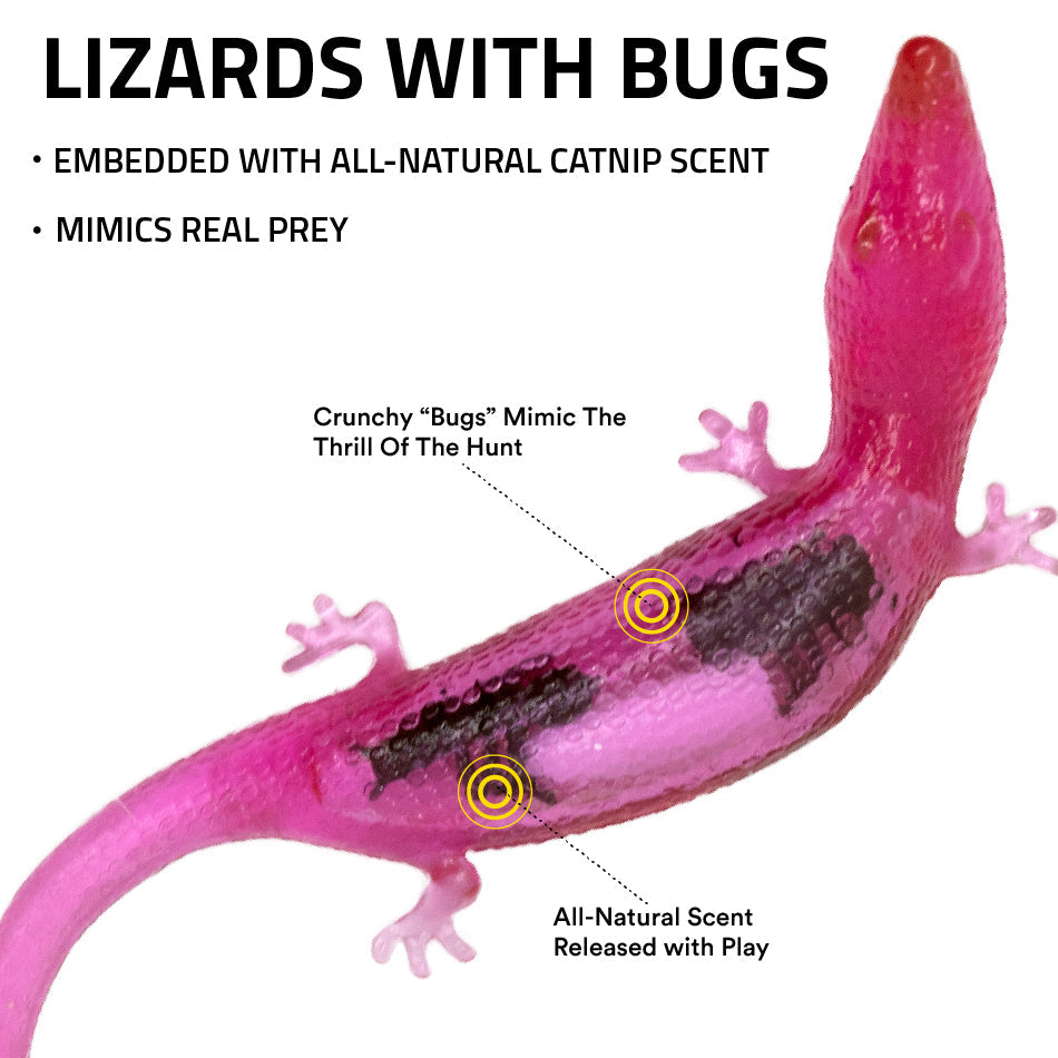 
                  
                    Lizards with Bugs
                  
                