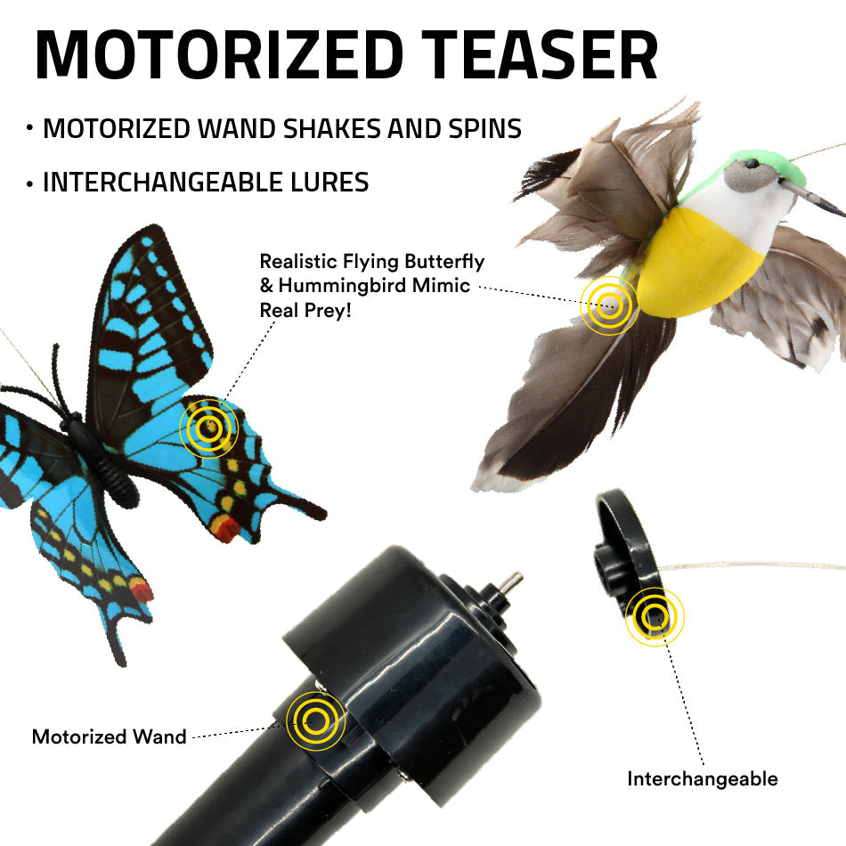 
                  
                    Interchangeable Motorized Teaser
                  
                