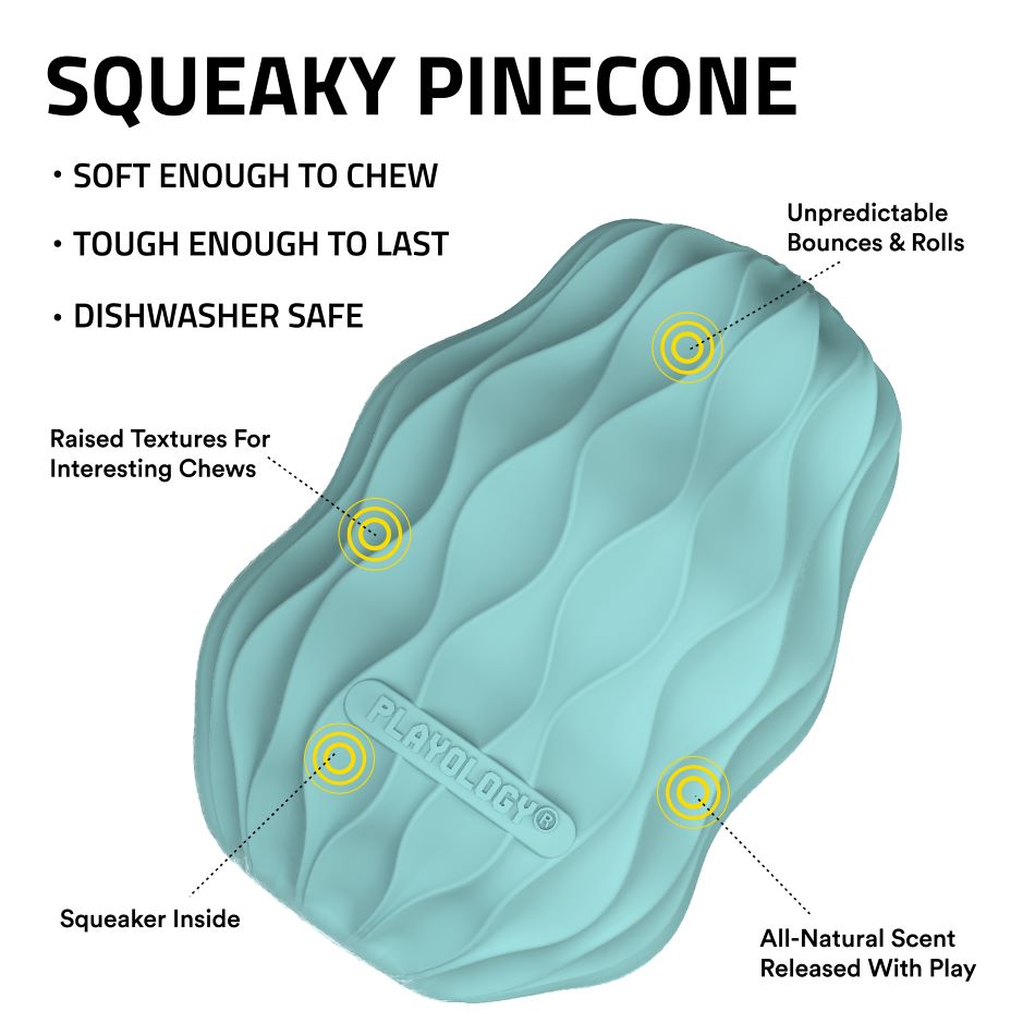 
                  
                    Squeaky Pinecone
                  
                