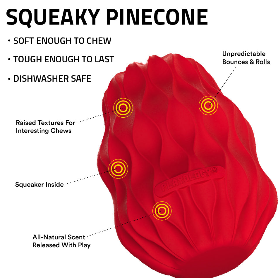 
                  
                    Squeaky Pinecone
                  
                