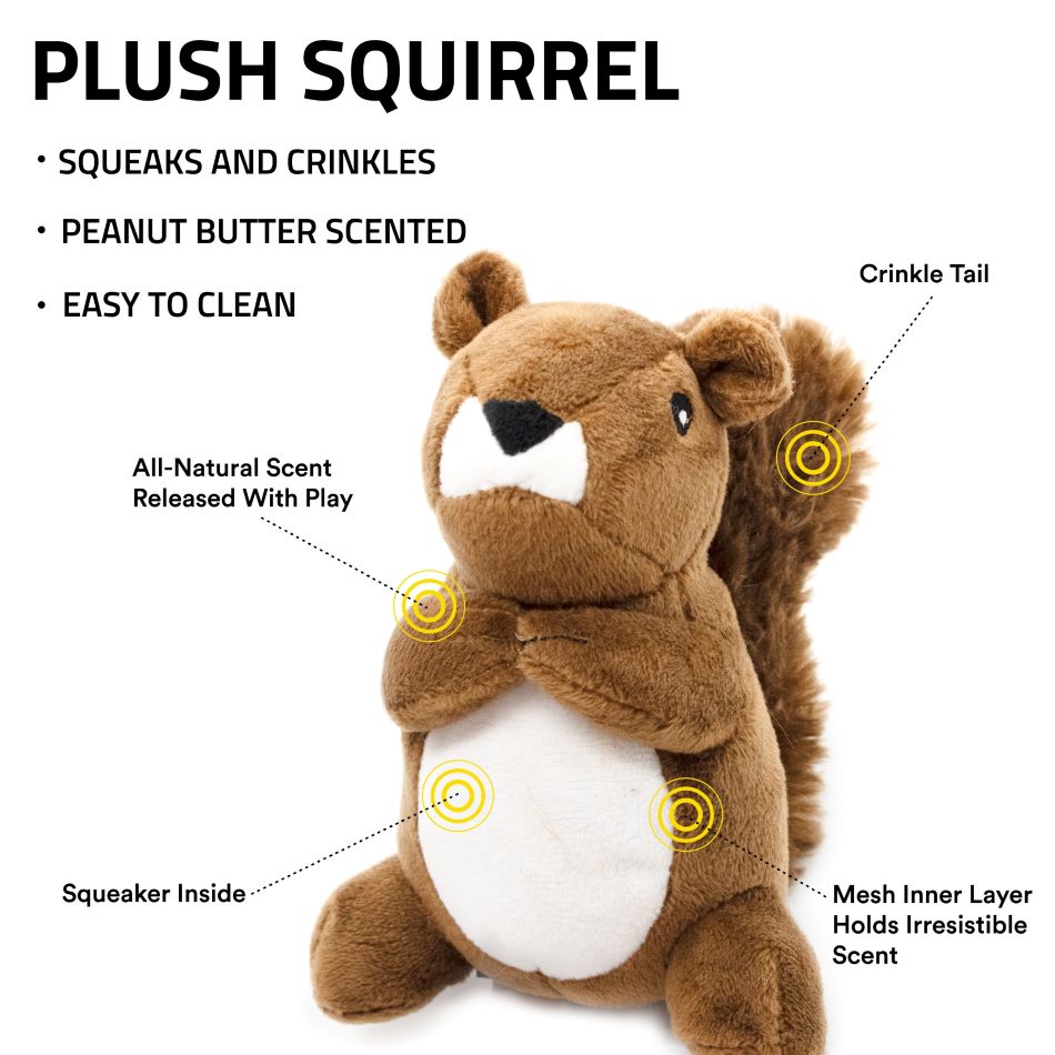 
                  
                    Plush Squirrel
                  
                