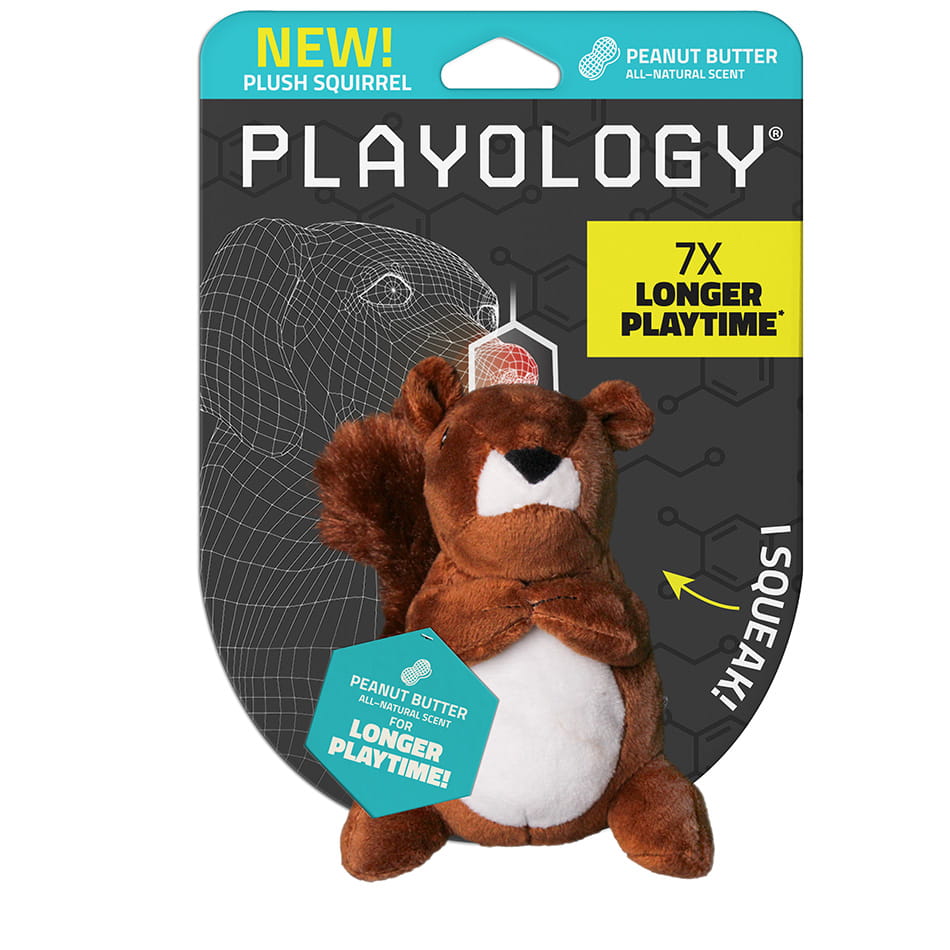 Plush Squirrel