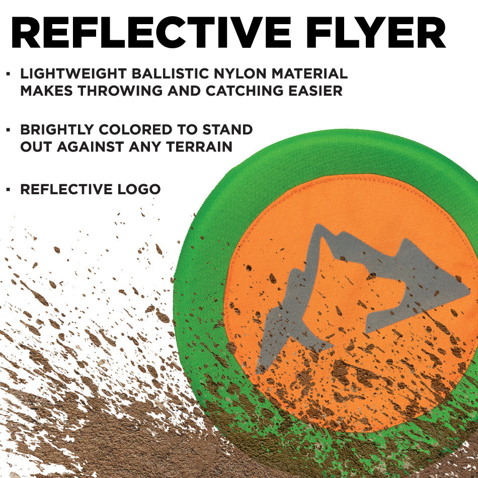 
                  
                    Reflective Flyer
                  
                