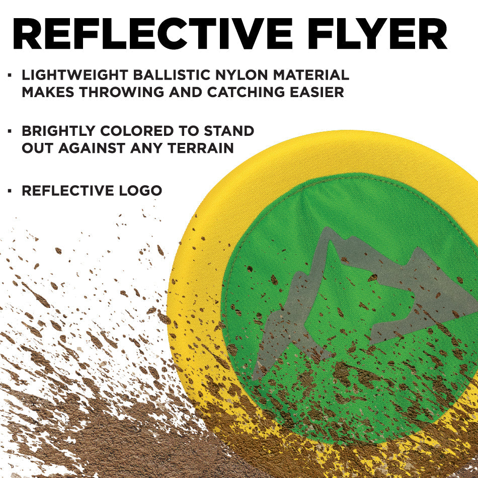 
                  
                    Reflective Flyer
                  
                