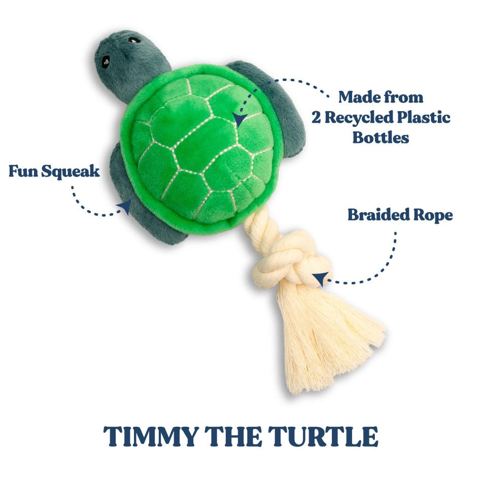 Timmy the Turtle – Playology