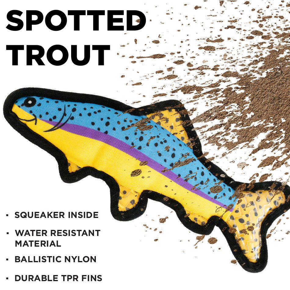 
                  
                    Spotted Trout
                  
                