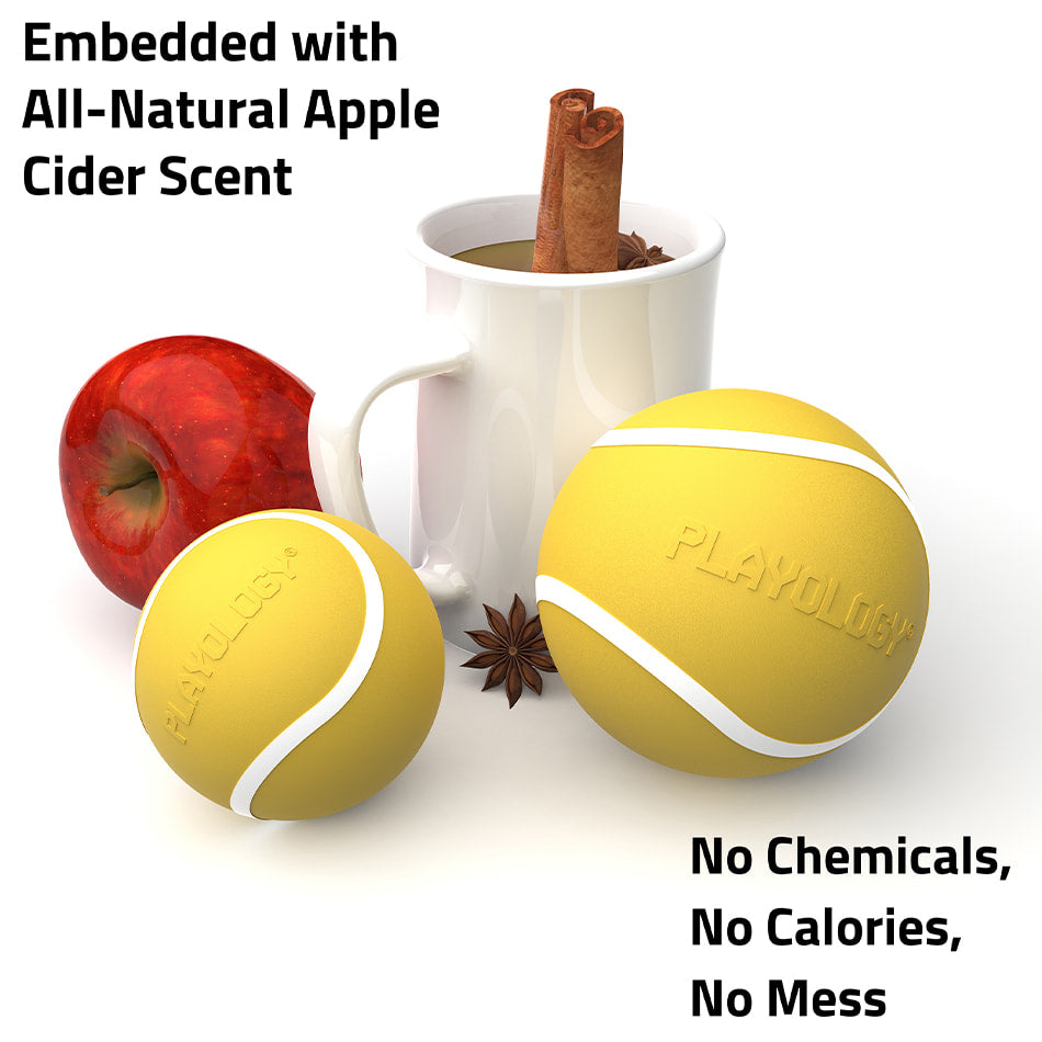 
                  
                    Squeaky Chew Ball | Apple Cider
                  
                