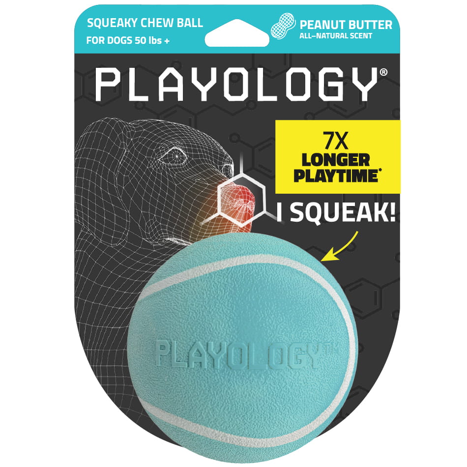 Squeaky Chew Ball