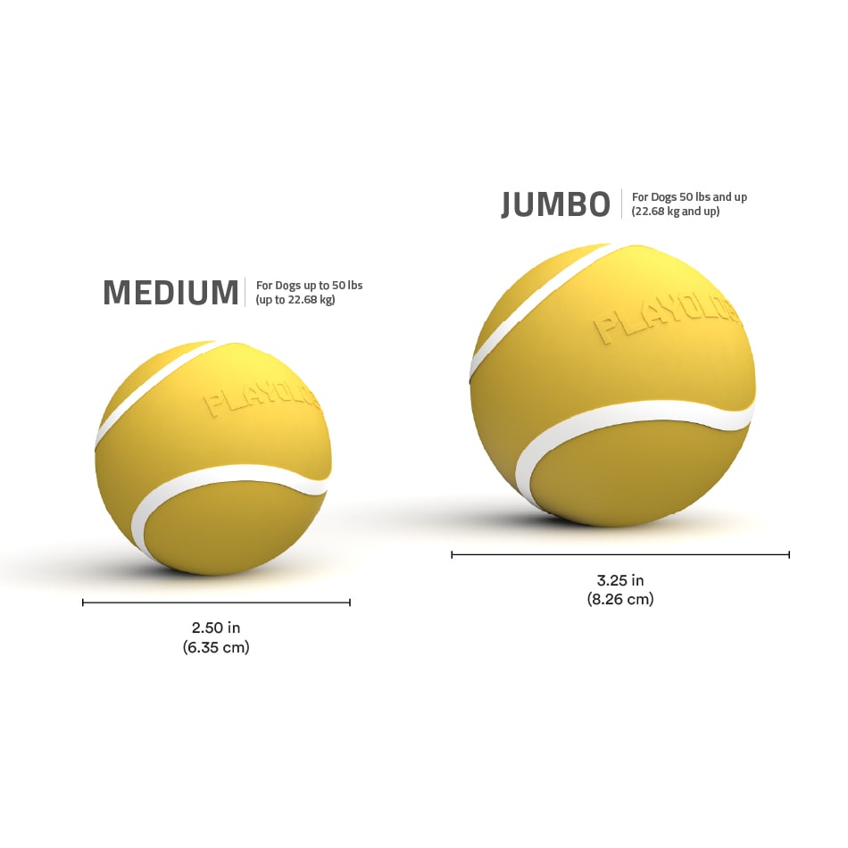 
                  
                    Squeaky Chew Ball | Apple Cider
                  
                