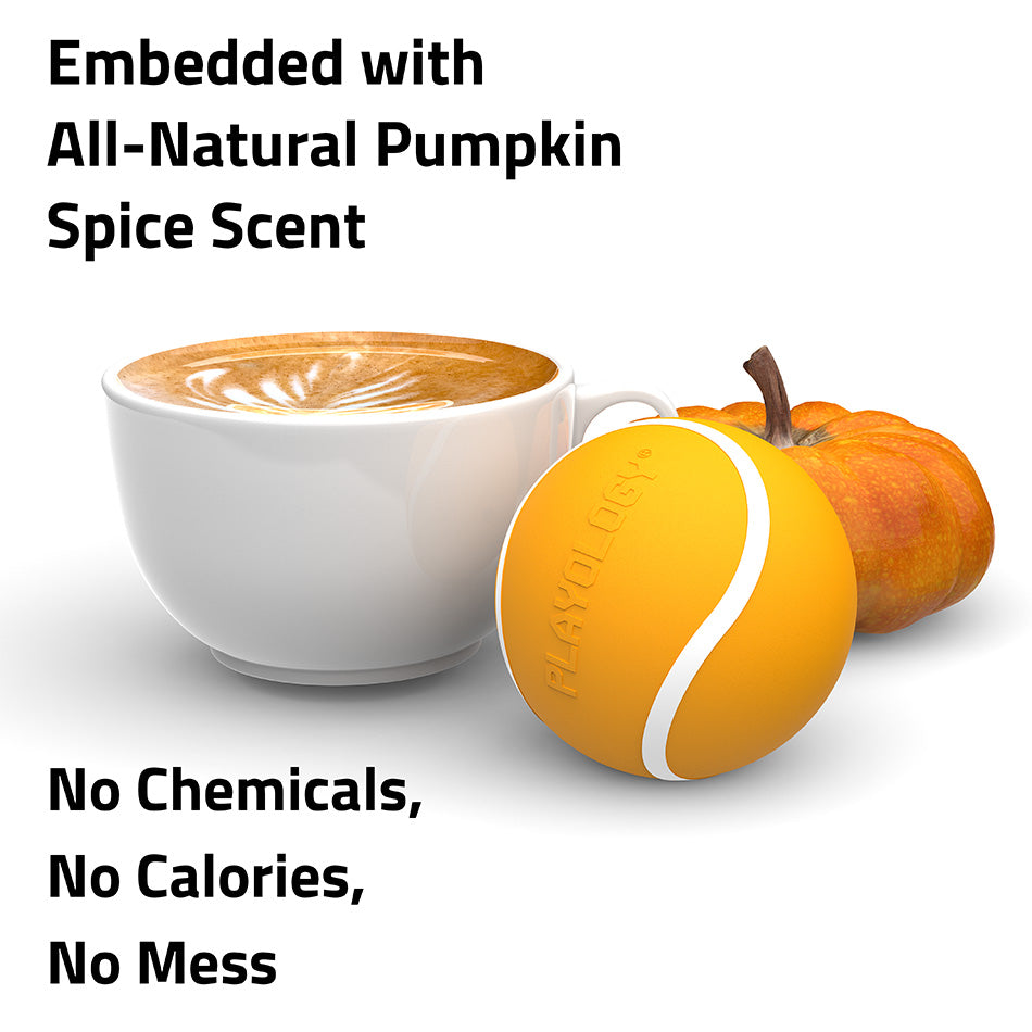 
                  
                    Squeaky Chew Ball | Pumpkin Spice
                  
                