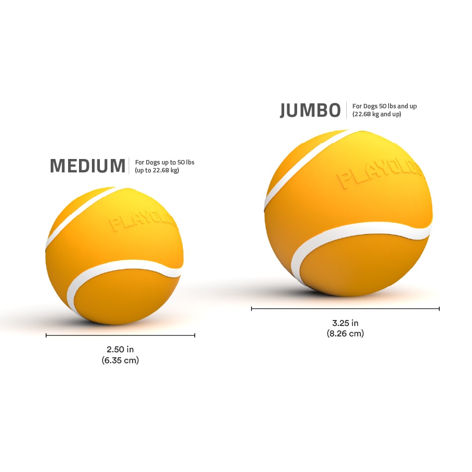 
                  
                    Squeaky Chew Ball | Pumpkin Spice
                  
                