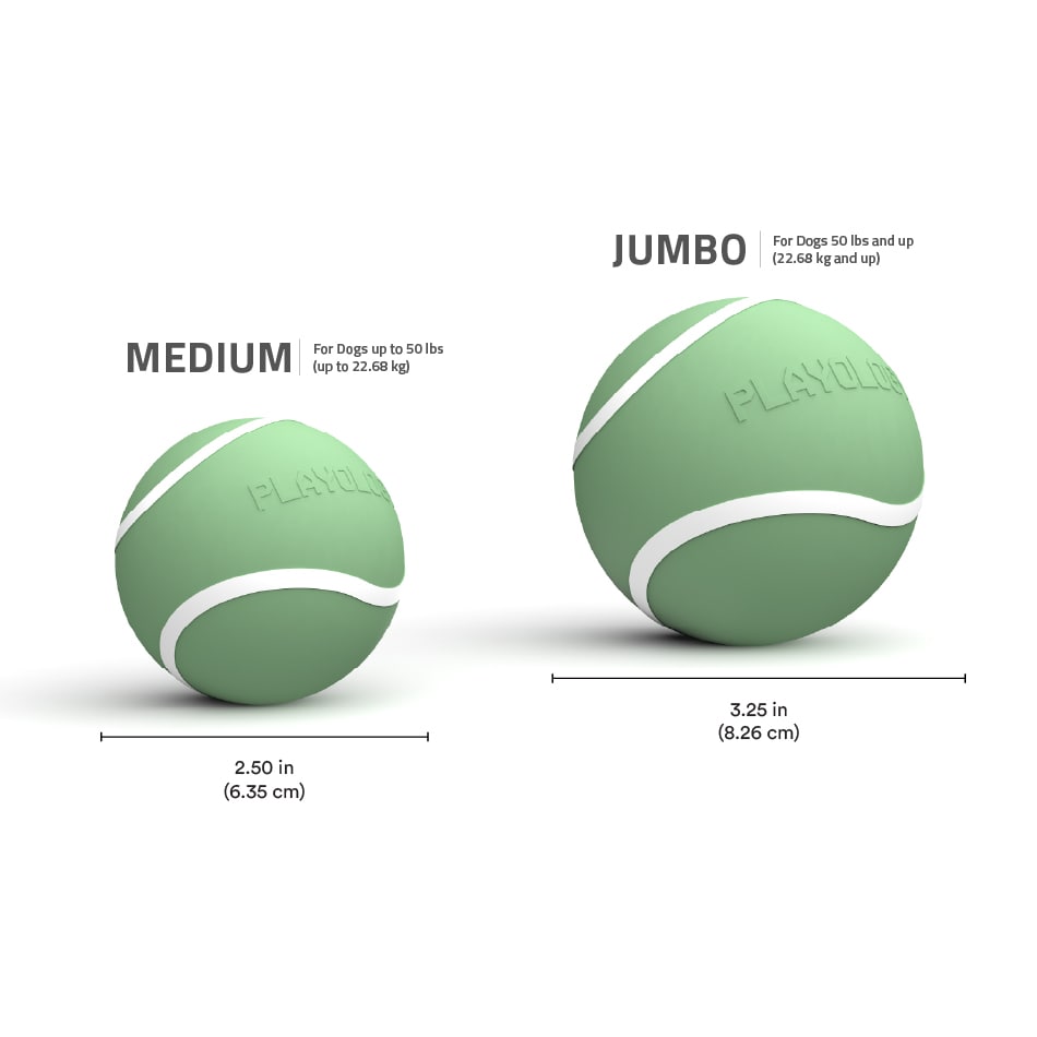 
                  
                    Squeaky Chew Ball | Squash & Sage
                  
                