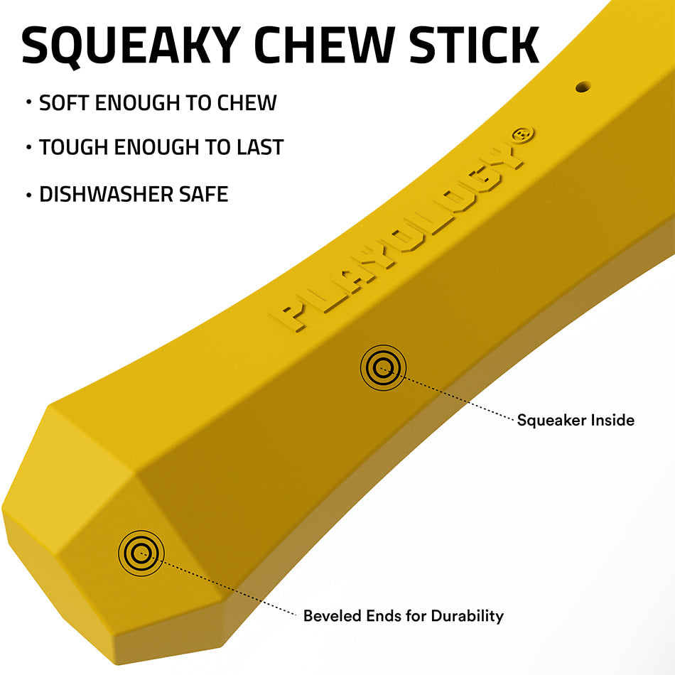 
                  
                    Squeaky Chew Stick | Apple Cider
                  
                