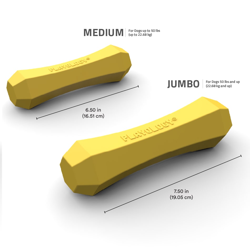 
                  
                    Squeaky Chew Stick | Apple Cider
                  
                