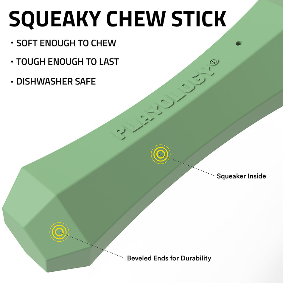
                  
                    Squeaky Chew Stick | Squash & Sage
                  
                