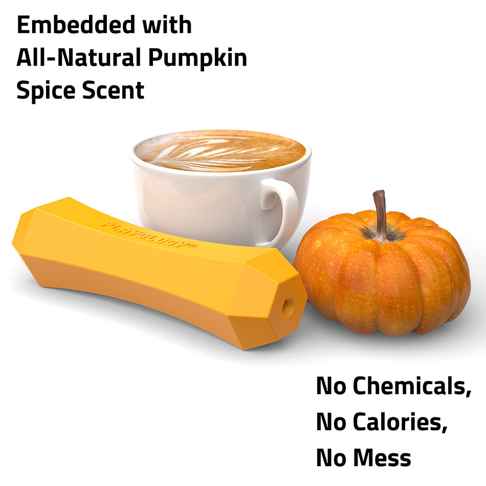 
                  
                    Squeaky Chew Stick | Pumpkin Spice
                  
                