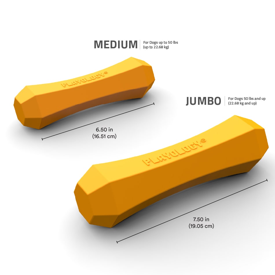 
                  
                    Squeaky Chew Stick | Pumpkin Spice
                  
                