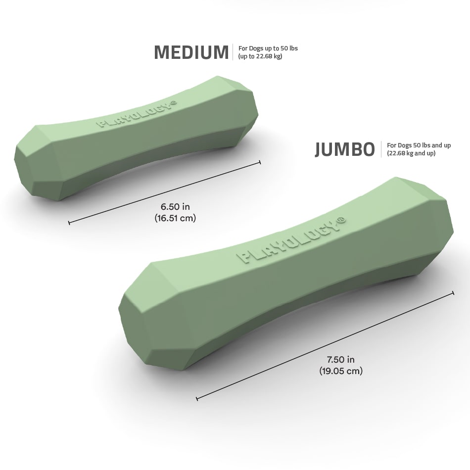 
                  
                    Squeaky Chew Stick | Squash & Sage
                  
                