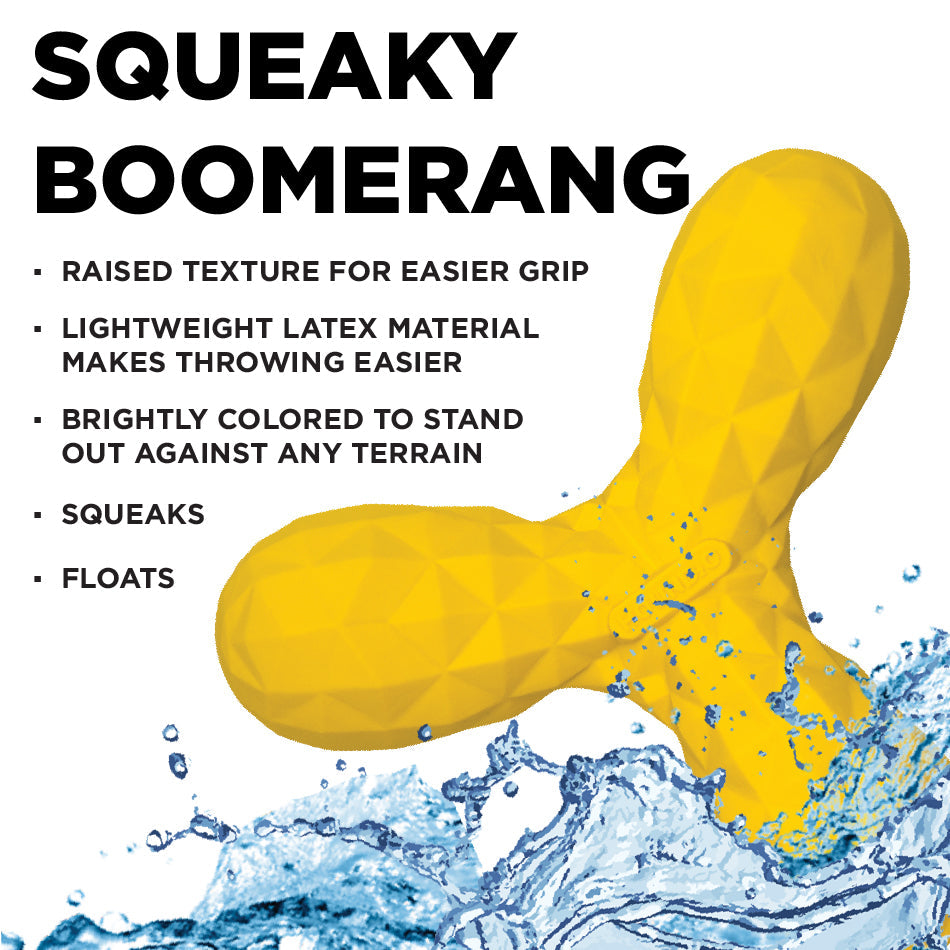 
                  
                    Squeaky Boomerang
                  
                