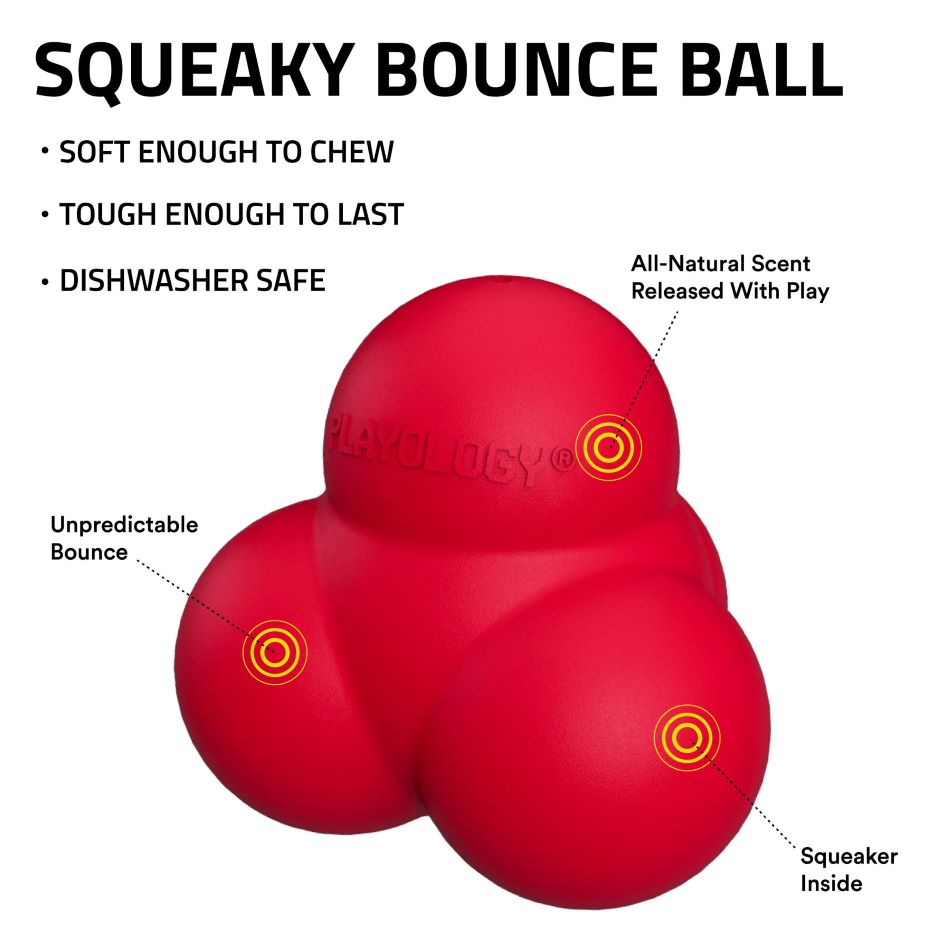 
                  
                    Squeaky Bounce Ball
                  
                