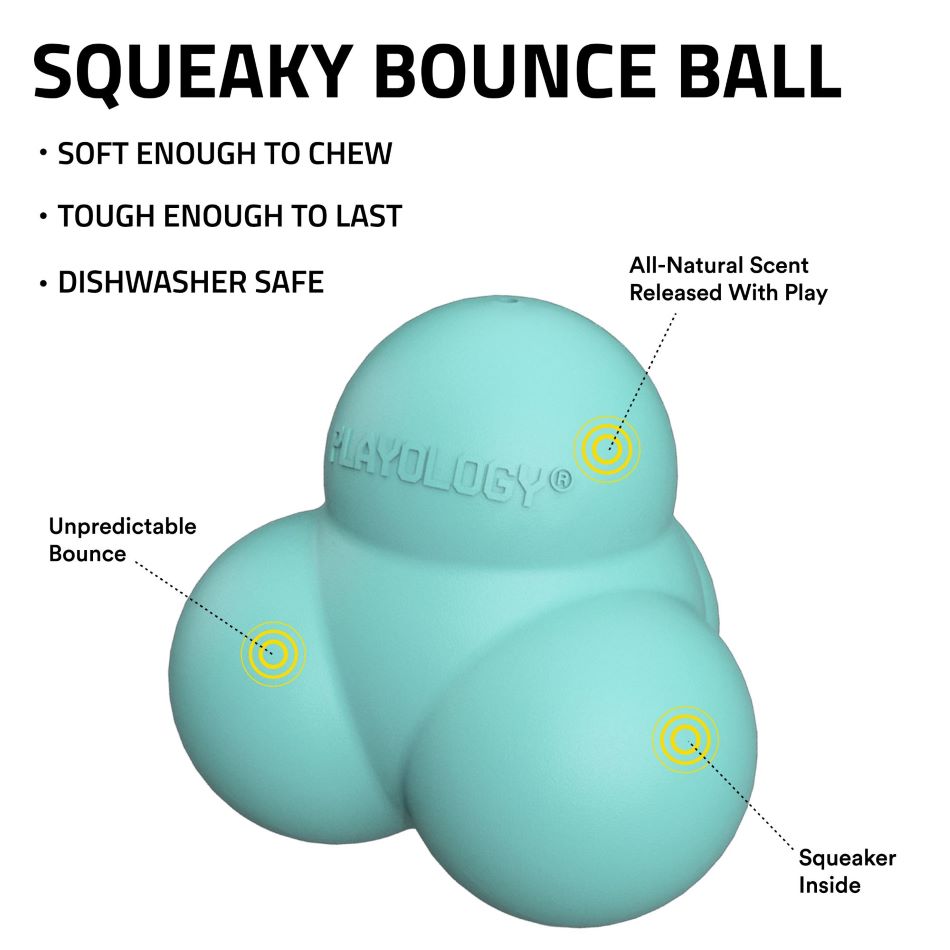 
                  
                    Squeaky Bounce Ball
                  
                