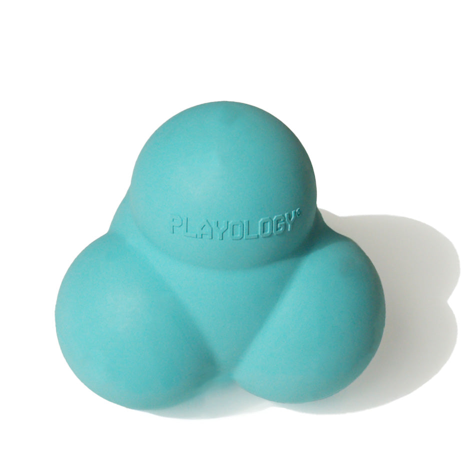 Squeaky Bounce Ball