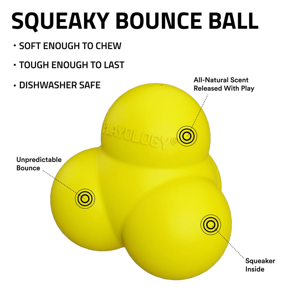 
                  
                    Squeaky Bounce Ball
                  
                