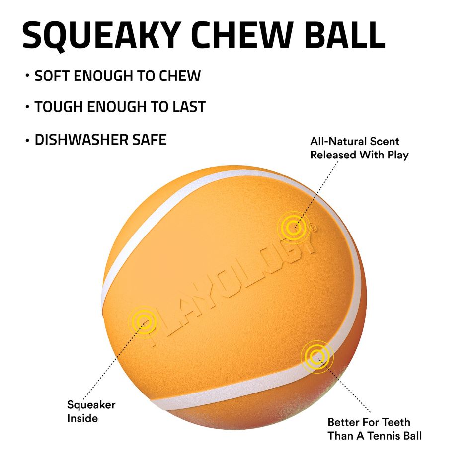 
                  
                    Squeaky Chew Ball
                  
                