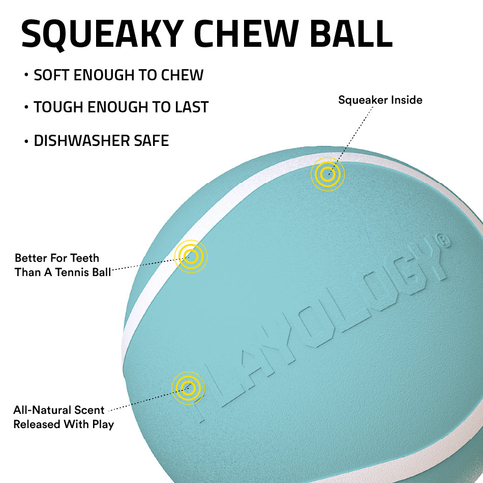 
                  
                    Squeaky Chew Ball
                  
                