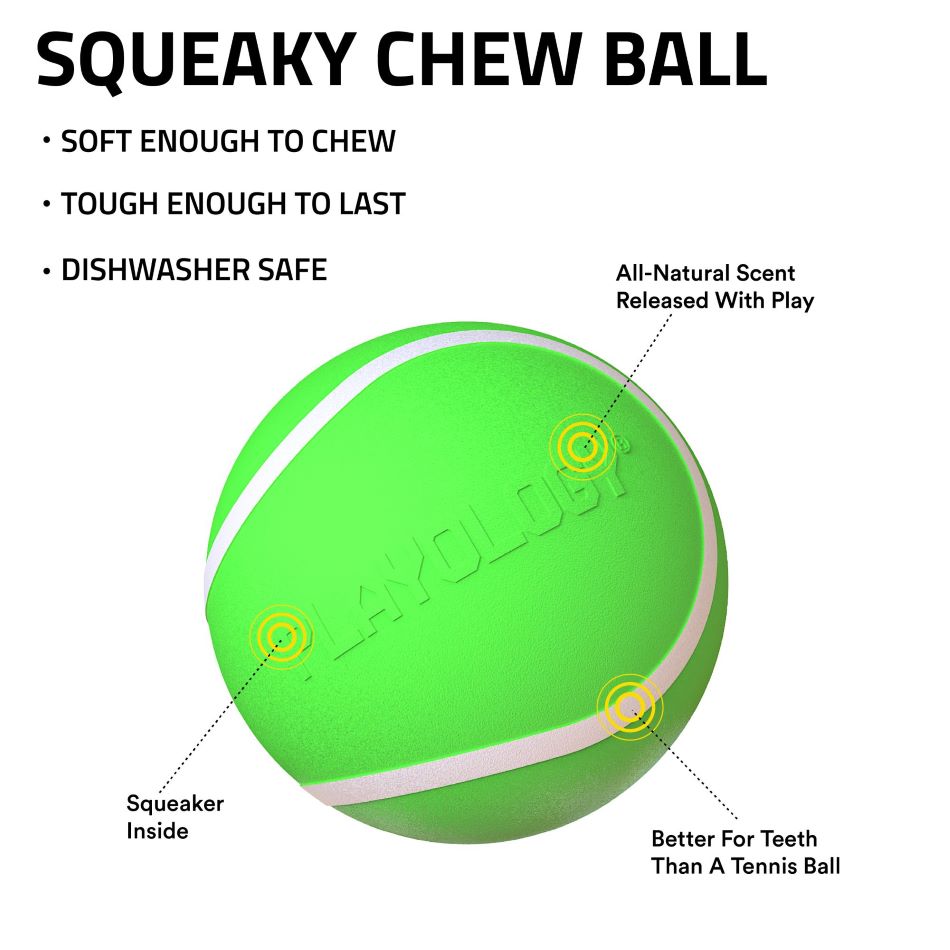 
                  
                    Squeaky Chew Ball
                  
                