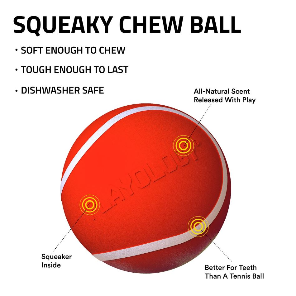 
                  
                    Squeaky Chew Ball
                  
                