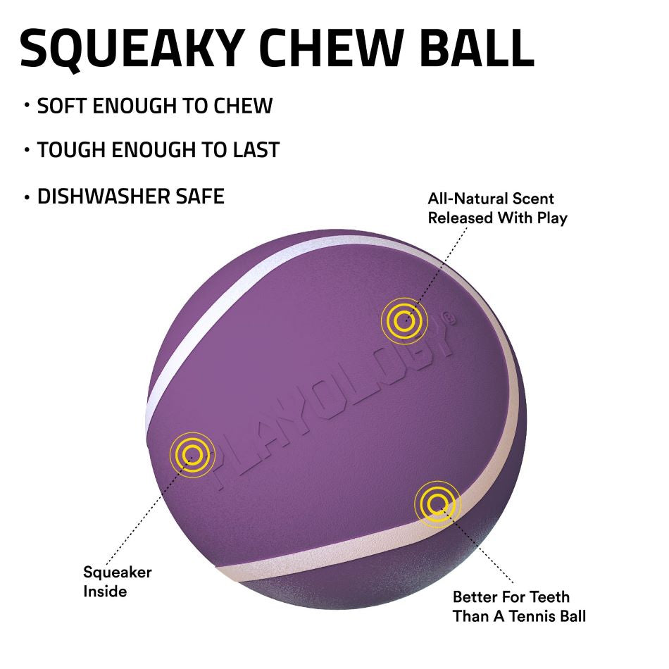 
                  
                    Squeaky Chew Ball
                  
                