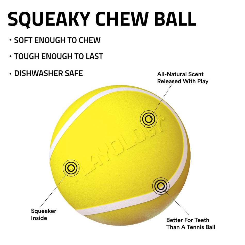 
                  
                    Squeaky Chew Ball
                  
                