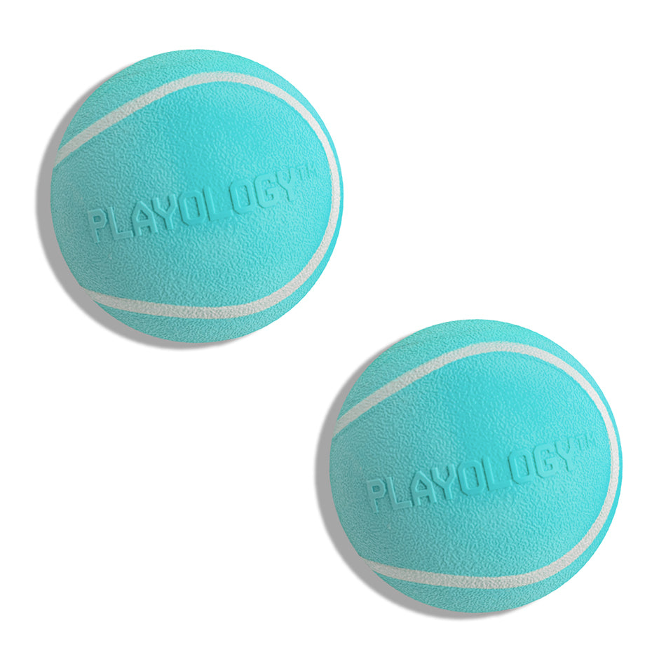 Squeaky Chew Ball 2-Pack - Medium