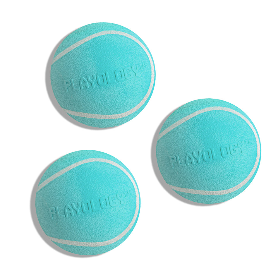 Squeaky Chew Ball 3-Pack Small