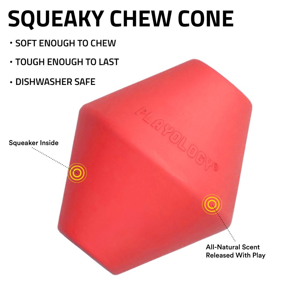 
                  
                    Squeaky Chew Cone
                  
                