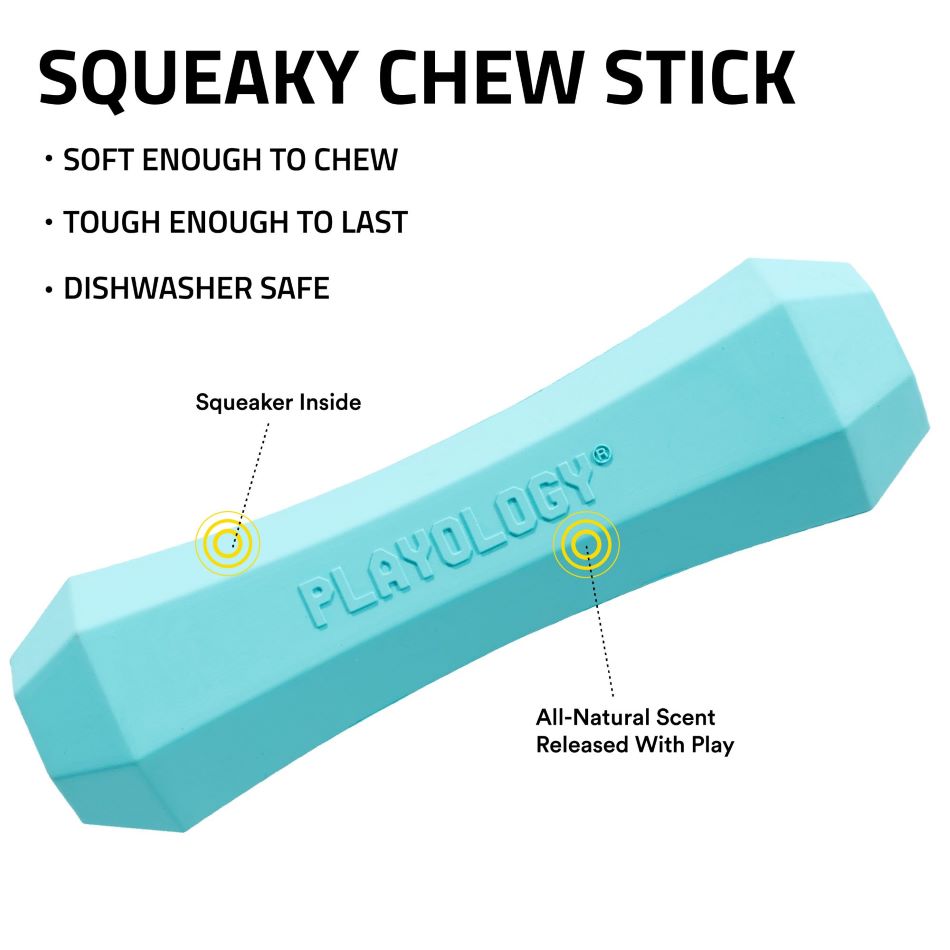 
                  
                    Squeaky Chew Stick
                  
                