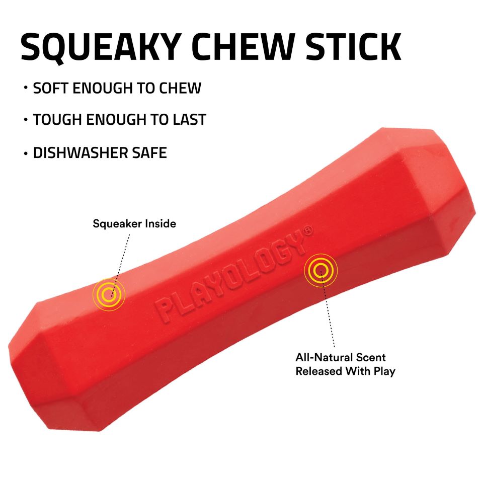 
                  
                    Squeaky Chew Stick
                  
                