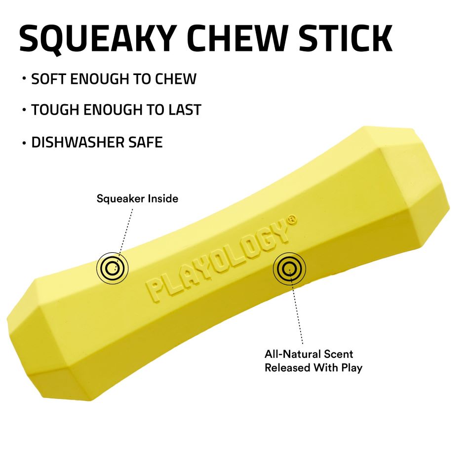 
                  
                    Squeaky Chew Stick
                  
                