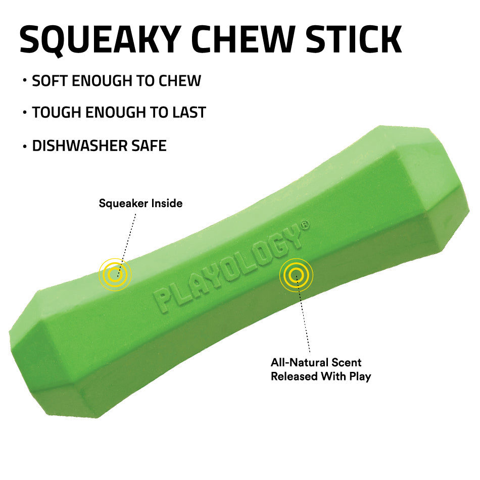 
                  
                    Squeaky Chew Stick
                  
                