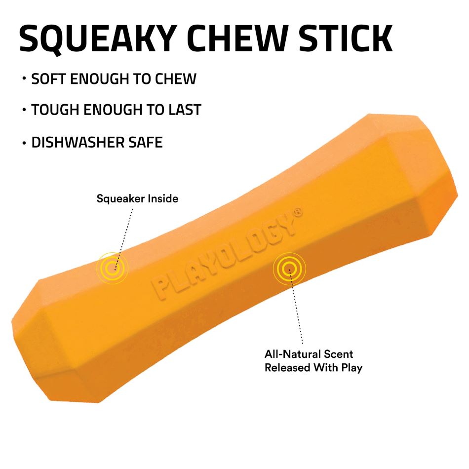 
                  
                    Squeaky Chew Stick
                  
                